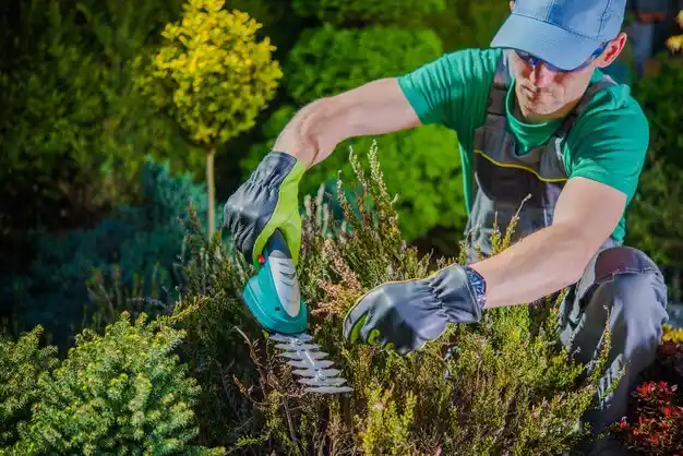 landscaping services Mound Bayou